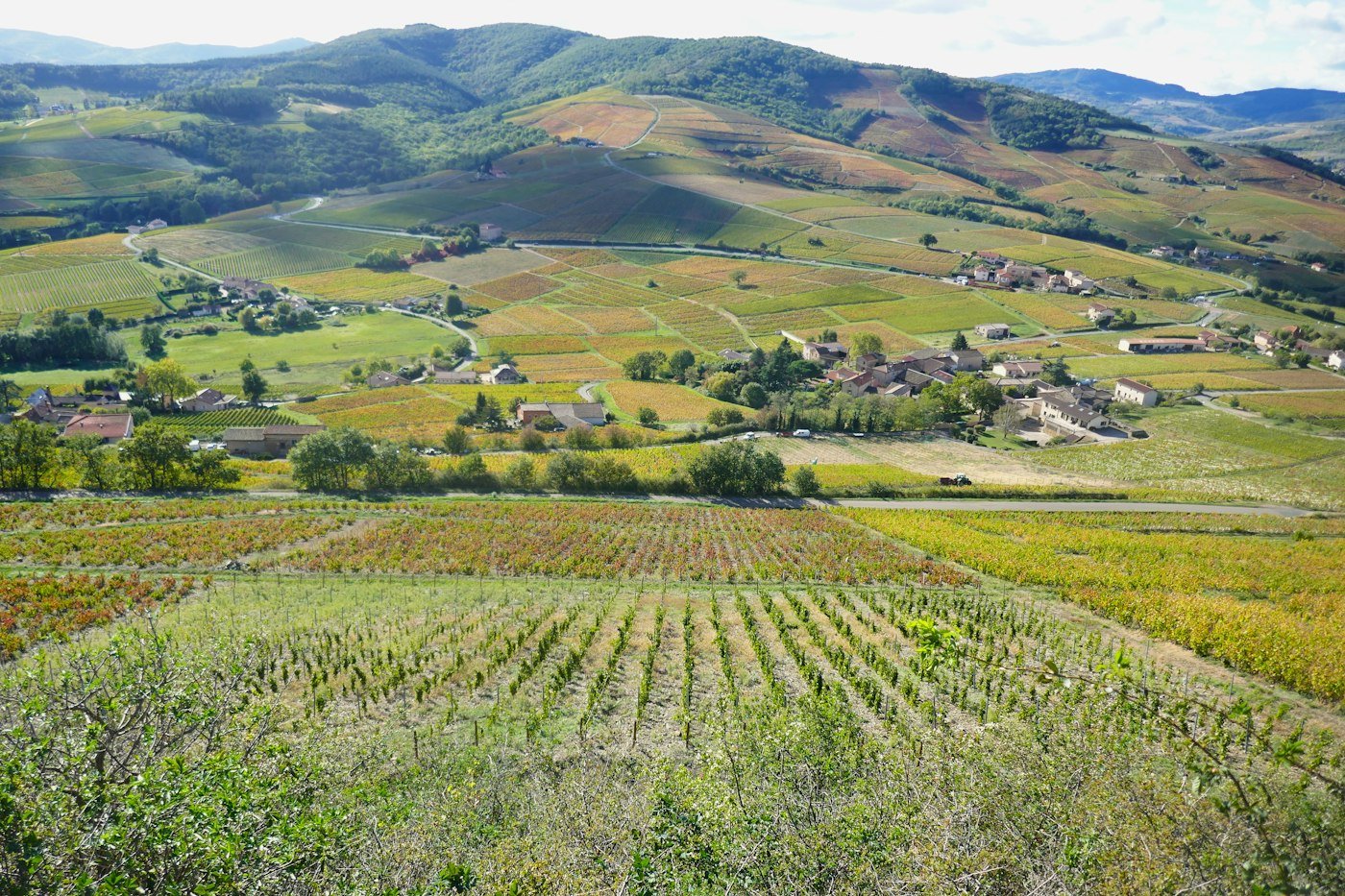 Vignobles du Beaujolais