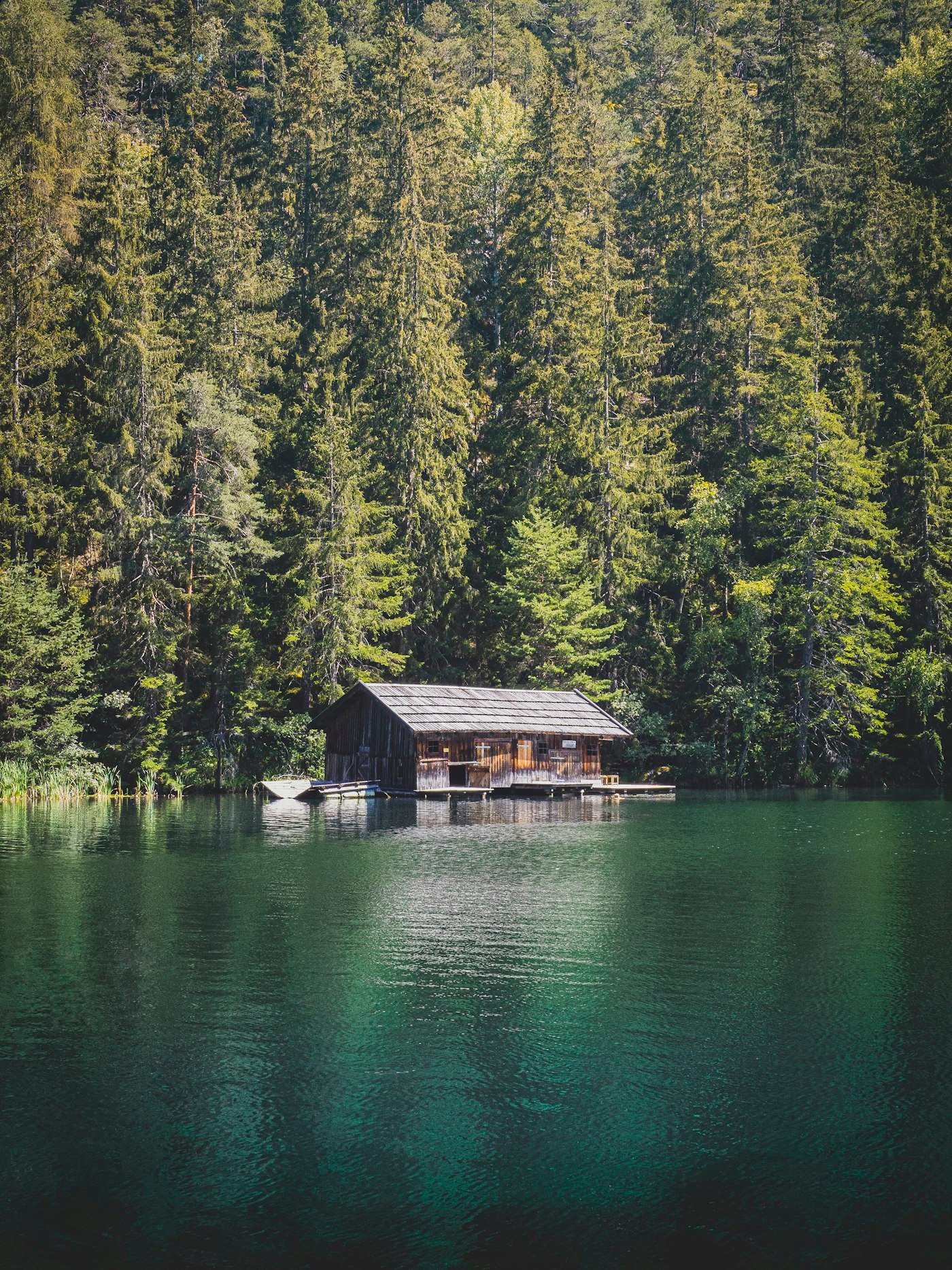 Cabane au bord d'un lac entouré de forêt